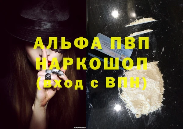 амф Верея